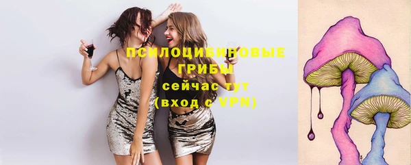гидропоника Михайловск