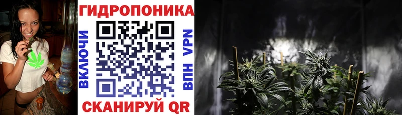 Канабис SATIVA & INDICA  Купить  Светлый 